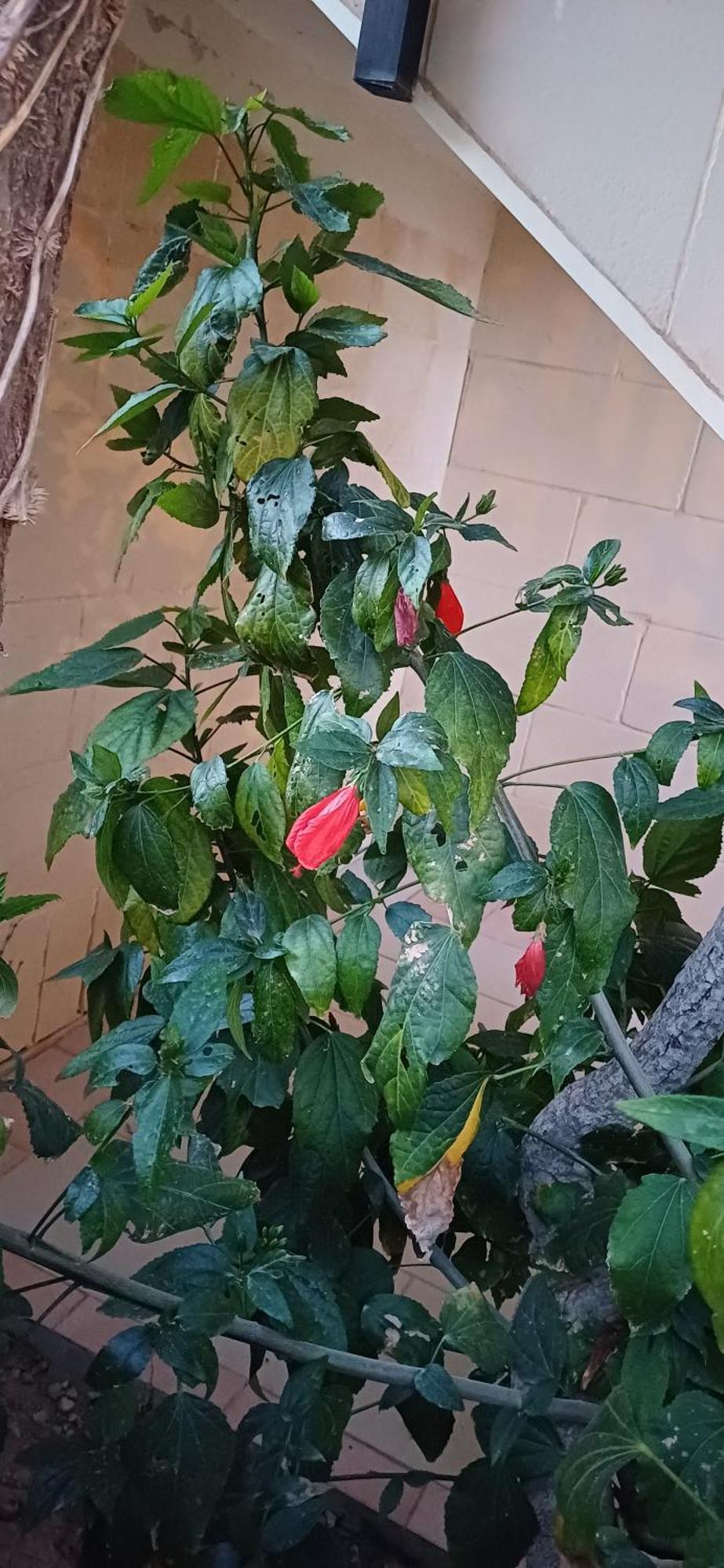 The Roof Garden Maisonette Marsaskala Luaran gambar
